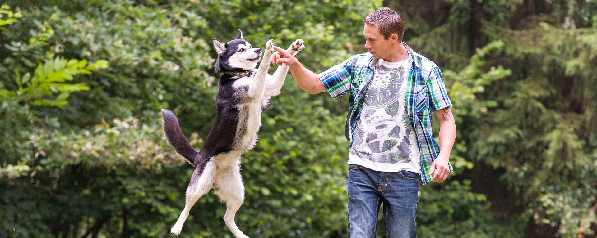 Ein junger Mann spielt im Garten mit seinem Hund, der gerade hoch in die Luft zu ihm springt