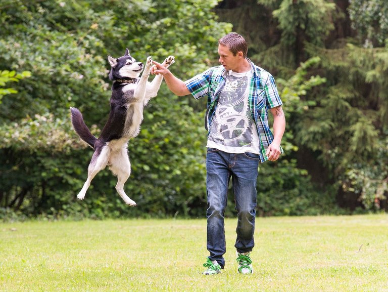 Ein junger Mann spielt im Garten mit seinem Hund, der gerade hoch in die Luft zu ihm springt