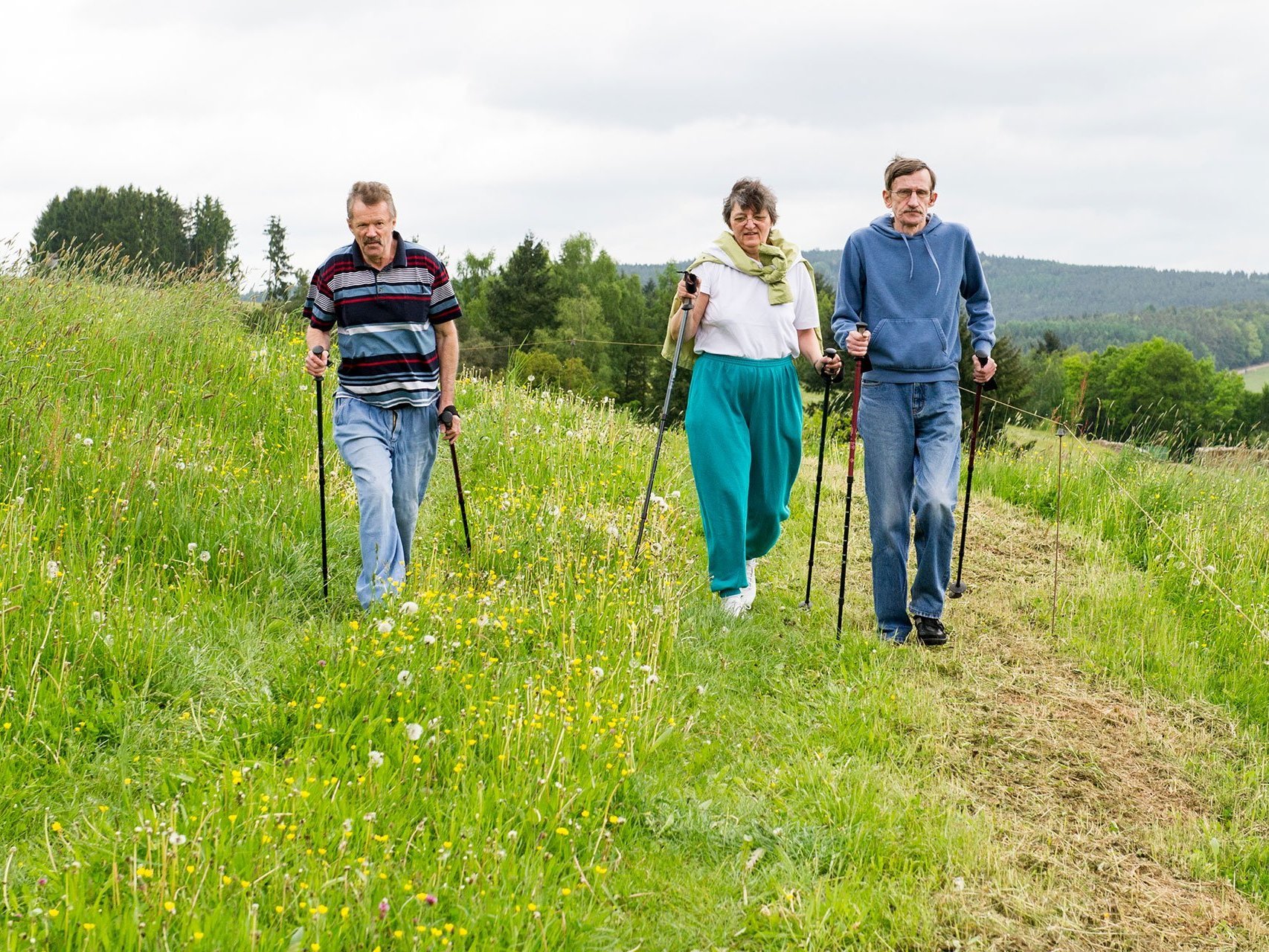 Eine Frau und zwei Männer beim Nordic-Walking auf einer grünen Wiese